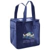 Lunch Tote  Insulated Thumbnail