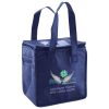 Lunch Tote  Insulated Thumbnail