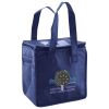 Lunch Tote  Insulated Thumbnail