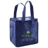Lunch Tote  Insulated Thumbnail