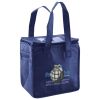 Lunch Tote  Insulated Thumbnail
