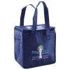 Lunch Tote  Insulated Thumbnail