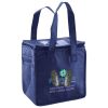 Lunch Tote  Insulated Thumbnail