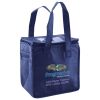 Lunch Tote  Insulated Thumbnail