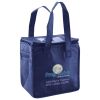 Lunch Tote  Insulated Thumbnail