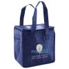 Lunch Tote  Insulated Thumbnail