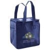Lunch Tote  Insulated Thumbnail