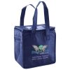 Lunch Tote  Insulated Thumbnail