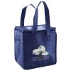 Lunch Tote  Insulated Thumbnail