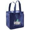 Lunch Tote  Insulated Thumbnail