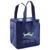Lunch Tote  Insulated Thumbnail