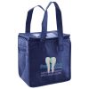 Lunch Tote  Insulated Thumbnail