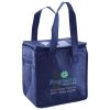 Lunch Tote  Insulated Thumbnail