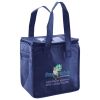 Lunch Tote  Insulated Thumbnail