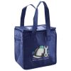 Lunch Tote  Insulated Thumbnail