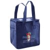 Lunch Tote  Insulated Thumbnail