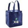 Lunch Tote  Insulated Thumbnail