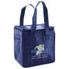 Lunch Tote  Insulated Thumbnail