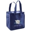 Lunch Tote  Insulated Thumbnail