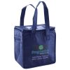 Lunch Tote  Insulated Thumbnail