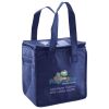 Lunch Tote  Insulated Thumbnail