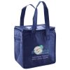Lunch Tote  Insulated Thumbnail