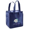 Lunch Tote  Insulated Thumbnail