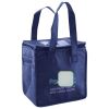 Lunch Tote  Insulated Thumbnail