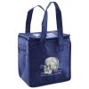 Lunch Tote  Insulated Thumbnail
