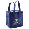 Lunch Tote  Insulated Thumbnail