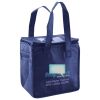 Lunch Tote  Insulated Thumbnail