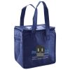 Lunch Tote  Insulated Thumbnail