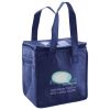 Lunch Tote  Insulated Thumbnail