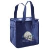 Lunch Tote  Insulated Thumbnail