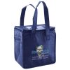 Lunch Tote  Insulated Thumbnail
