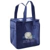 Lunch Tote  Insulated Thumbnail