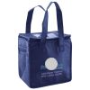 Lunch Tote  Insulated Thumbnail