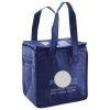 Lunch Tote  Insulated Thumbnail