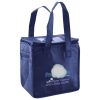Lunch Tote  Insulated Thumbnail