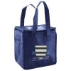 Lunch Tote  Insulated Thumbnail