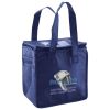 Lunch Tote  Insulated Thumbnail