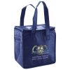 Lunch Tote  Insulated Thumbnail