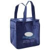 Lunch Tote  Insulated Thumbnail