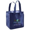 Lunch Tote  Insulated Thumbnail