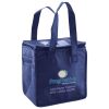 Lunch Tote  Insulated Thumbnail