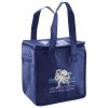 Lunch Tote  Insulated Thumbnail