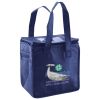 Lunch Tote  Insulated Thumbnail