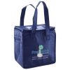 Lunch Tote  Insulated Thumbnail