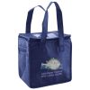 Lunch Tote  Insulated Thumbnail