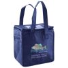 Lunch Tote  Insulated Thumbnail